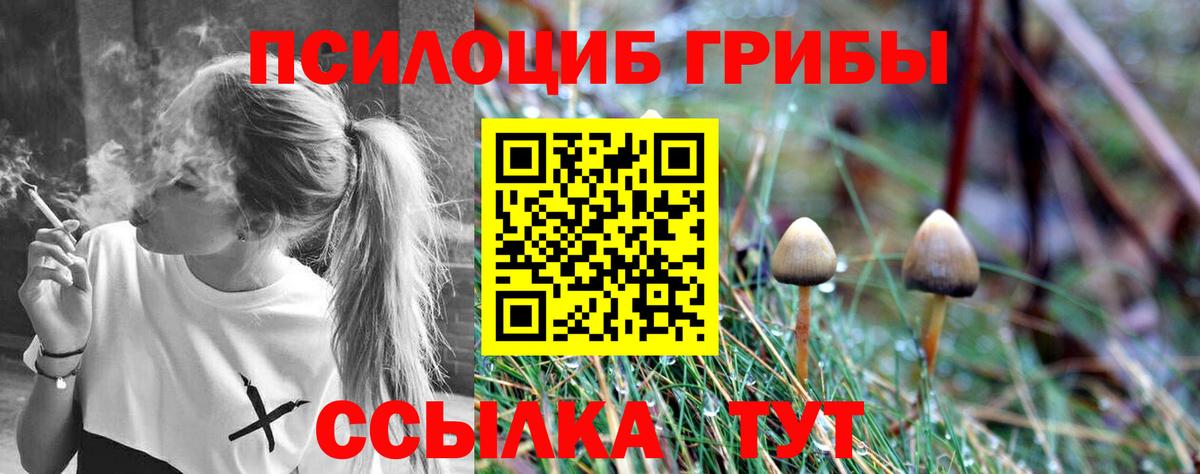 Псилоцибиновые грибы мицелий Кулебаки