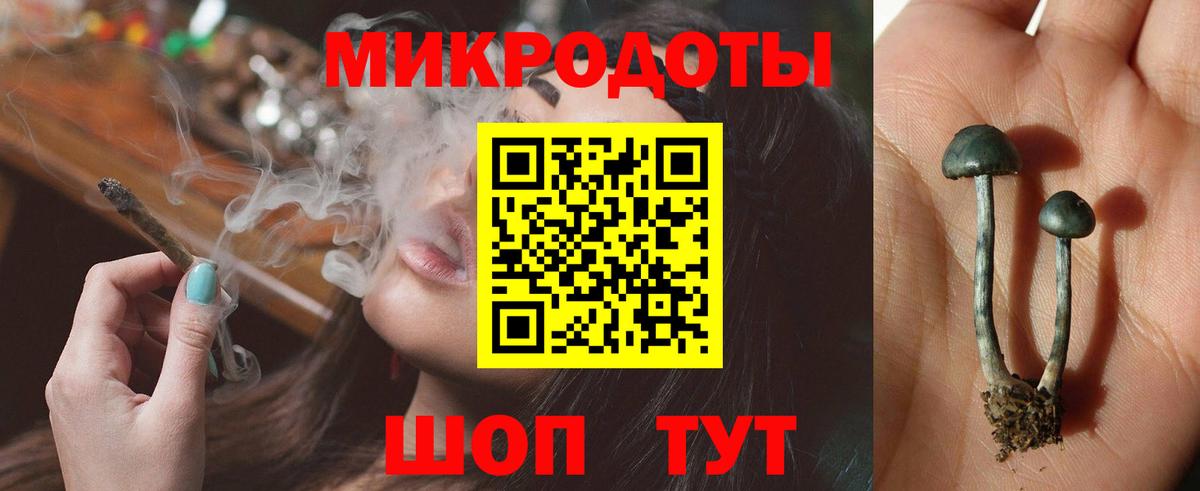 Псилоцибиновые грибы Cubensis  Вход с VPN  Кулебаки 